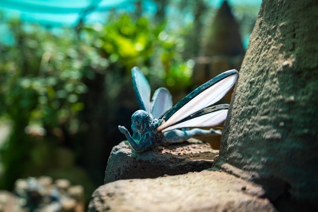 jardin des fées